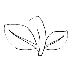 leaves icon over white background vector illustration