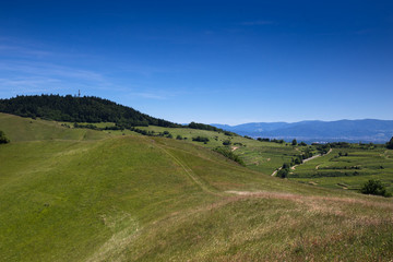Obraz premium Schelingen Kaiserstuhl Badberg 