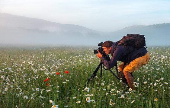 Photographer takes a pictures of a field with chamomiles during sunrise