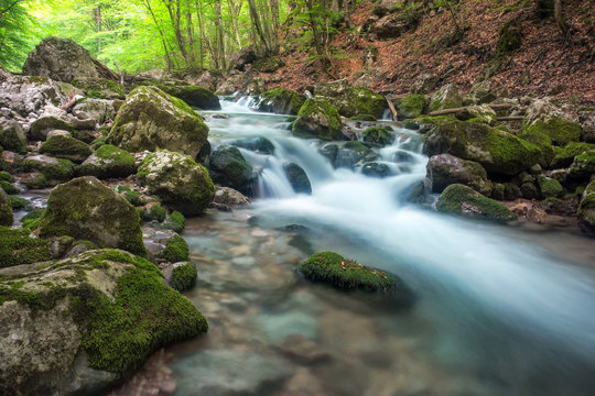 Mountain river in forest and mountain terrain. Crimea, the Grand Canyon. Nature composition.