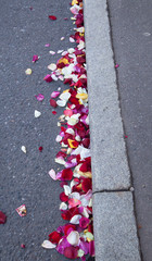 After registration of marriage, petals