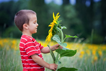 Cute little child, holding big sunflower flower in a field