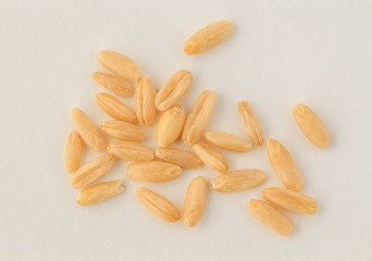 Oats　えん麦、オーツ麦、からす麦