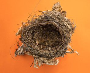 Empty nest isolated on orange background, top view