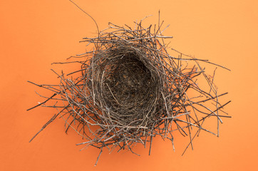 Empty nest isolated on orange background, top view