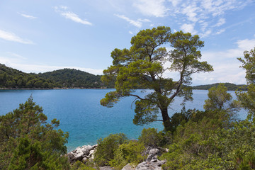 Fototapeta na wymiar View of Big Lake of Mljet Nature Park Croatia