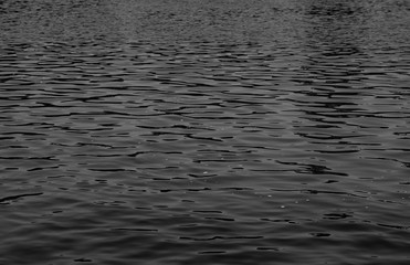 dark water / black background