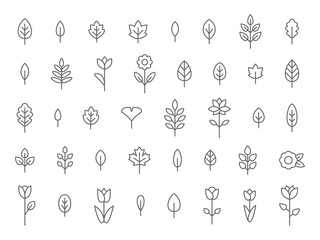 Leaf and Flower Line Icon Set, Flat, Lines, Vector - 162211434