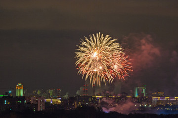 Firework in the night city