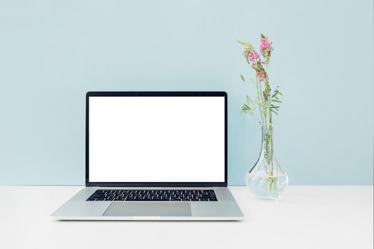 Laptop with white blank screen and flowers in vase on table on blue background. mock up