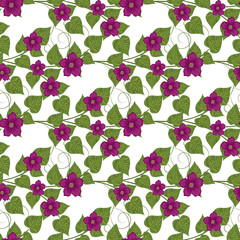 A drawing in a small lilac flower on a white background with leaves. Flower seamless patern for textiles, fabric, cotton fabric, covers, wallpaper, print, gift wrap, postcard.