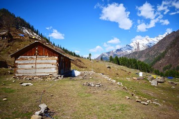 Village View