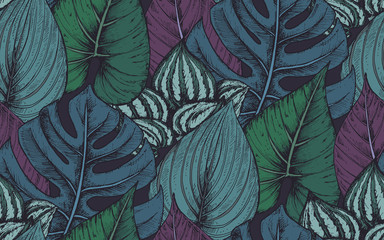 Fototapety  Wektor wzór z kompozycjami ręcznie rysowane rośliny tropikalne