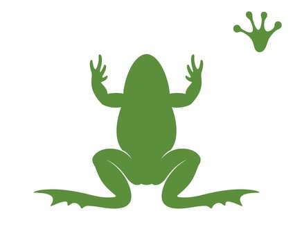 Frog silhouette. Abstract frog on white background