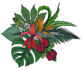 Naklejki  Kompozycja wektorowa ręcznie rysowane tropikalnych kwiatów, liści palmowych, roślin dżungli