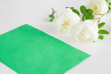 White roses with green blank greeting card on the white background. Fresh flowers.