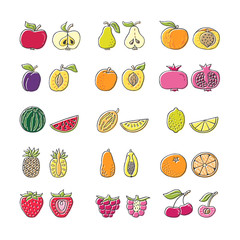Fruit hand drawn icon set in flat style