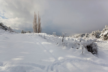 Fototapeta premium Snow covered landscape in the mountains of Crimea PtII