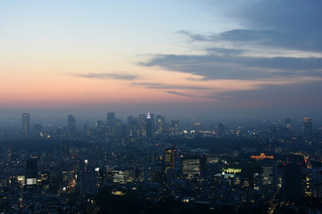 Fototapeta na wymiar 日本の東京都市景観・夜景（東京・新宿の高層ビル群）