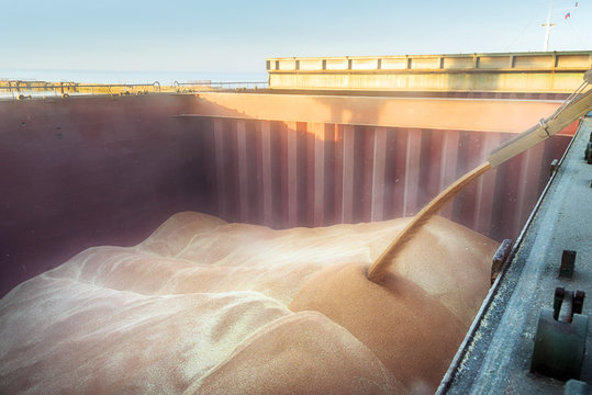 Loading of wheat in a hold