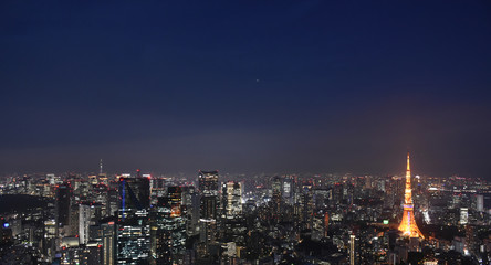 Fototapeta na wymiar 日本の東京都市景観・夜景（港区や千代田区方面を望む）