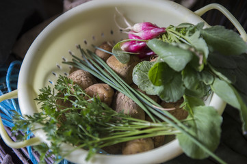 séverac le château scénes de campagnes