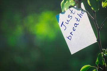 Motivating phrase just breathe. On a green background on a branch is a white paper with a motivating phrase.
