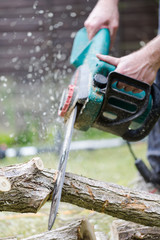 Lumberjack cuts a tree in the garden