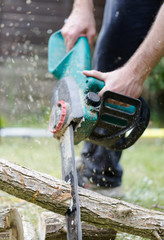 Lumberjack cuts a tree in the garden