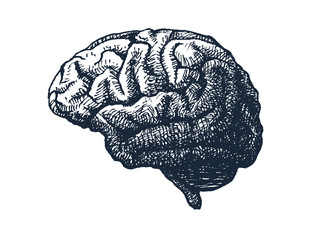 Human brain casting shadow