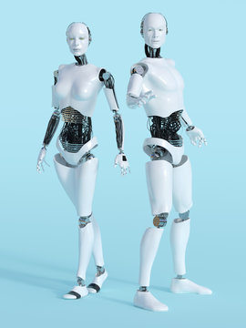 3D rendering of male and female robot.