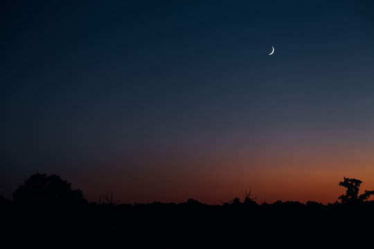 Red Sunset And New Moon In A Beautiful Sky