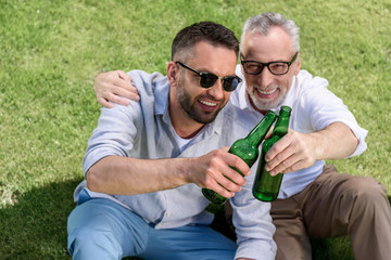 sitting father and adult son clinking with beer bottles and sitting on green grass