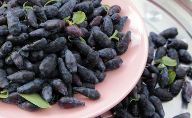 Ripe honeysuckle (lonicera) in a bowl on the table.