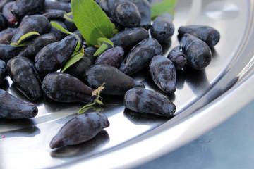 Honeysuckle on a plate