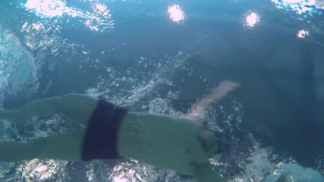 Underwater shot from bottom of pool of muscular man in swimwear swimming with front crawl 