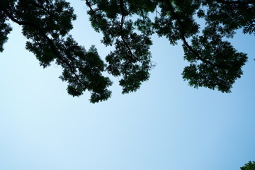 서울 도심 풍경