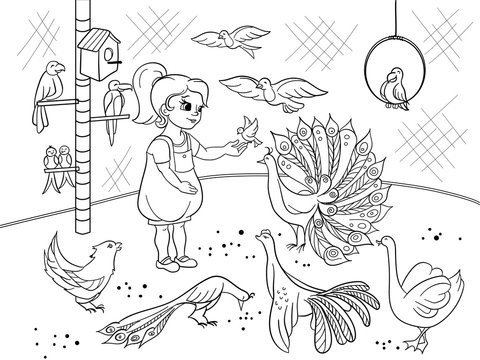 Childrens cartoon coloring the contact birds zoo. Bird black and white picture book. Ornithology for the girl