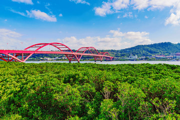 Scenic view of Guandu bridge