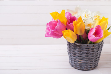 Fototapeta na wymiar Pink, yellow and white spring tulips and daffodils flowers in grey bucket on white wooden background