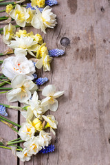 Row of colorful spring tulips, narcissus, muscaries flowers on rustic  wooden background.
