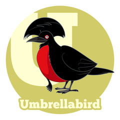 ABC Cartoon Umbrellabird