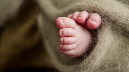 The legs of a newborn baby closeup - Powered by Adobe
