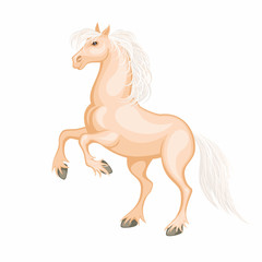 The realistic image of a beautiful horse on a white background. Vector illustration.