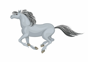 The realistic image of a beautiful horse on a white background. Vector illustration.