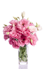 Fototapeta na wymiar bunch of pink eustoma flowers in glass vase isolated on white