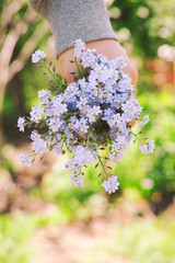 Person holds forget me not flowers in her hand