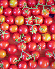 Small tomatoes closeup, natural red background