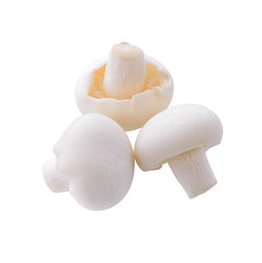 white mushroom isolated on white background