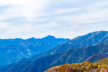 日光　半月山の紅葉